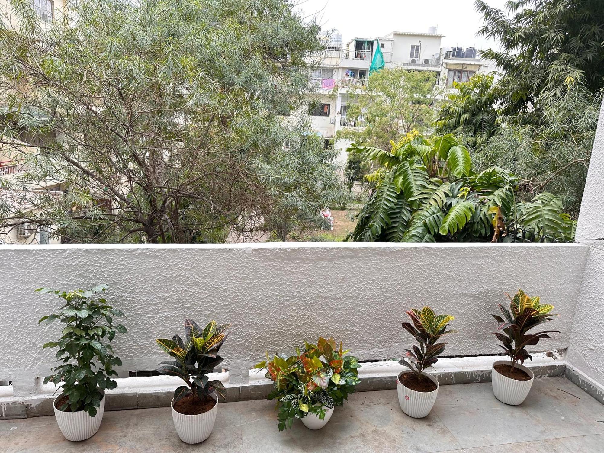 فندق Grove Residency Hauz Khas New Delhi Couple Friendly المظهر الخارجي الصورة